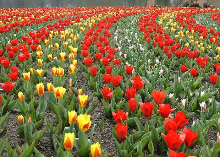 بوتيل B&boatel Alibii *